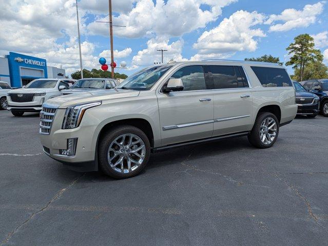 2017 Cadillac Escalade ESV Vehicle Photo in BRUNSWICK, GA 31525-1881