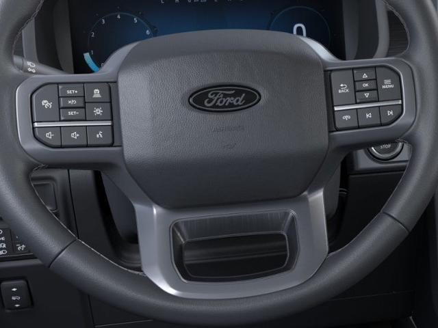 2025 Ford F-150 Vehicle Photo in Winslow, AZ 86047-2439