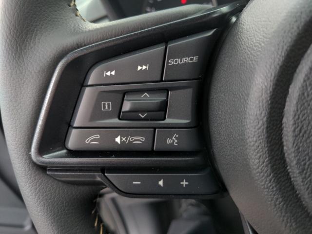 2025 Subaru Crosstrek Vehicle Photo in Green Bay, WI 54304