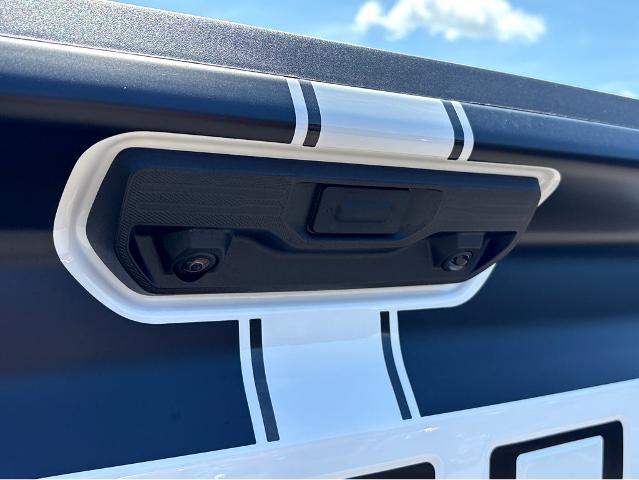 2025 Chevrolet Silverado 1500 Vehicle Photo in BEAUFORT, SC 29906-4218