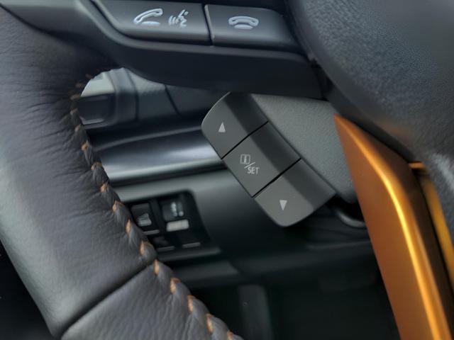 2024 Subaru Forester Vehicle Photo in Green Bay, WI 54304