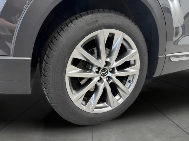 2017 Mazda CX-9 Vehicle Photo in Green Bay, WI 54304