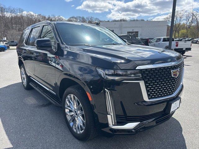 2023 Cadillac Escalade Vehicle Photo in MOUNT KISCO, NY 10549-1513