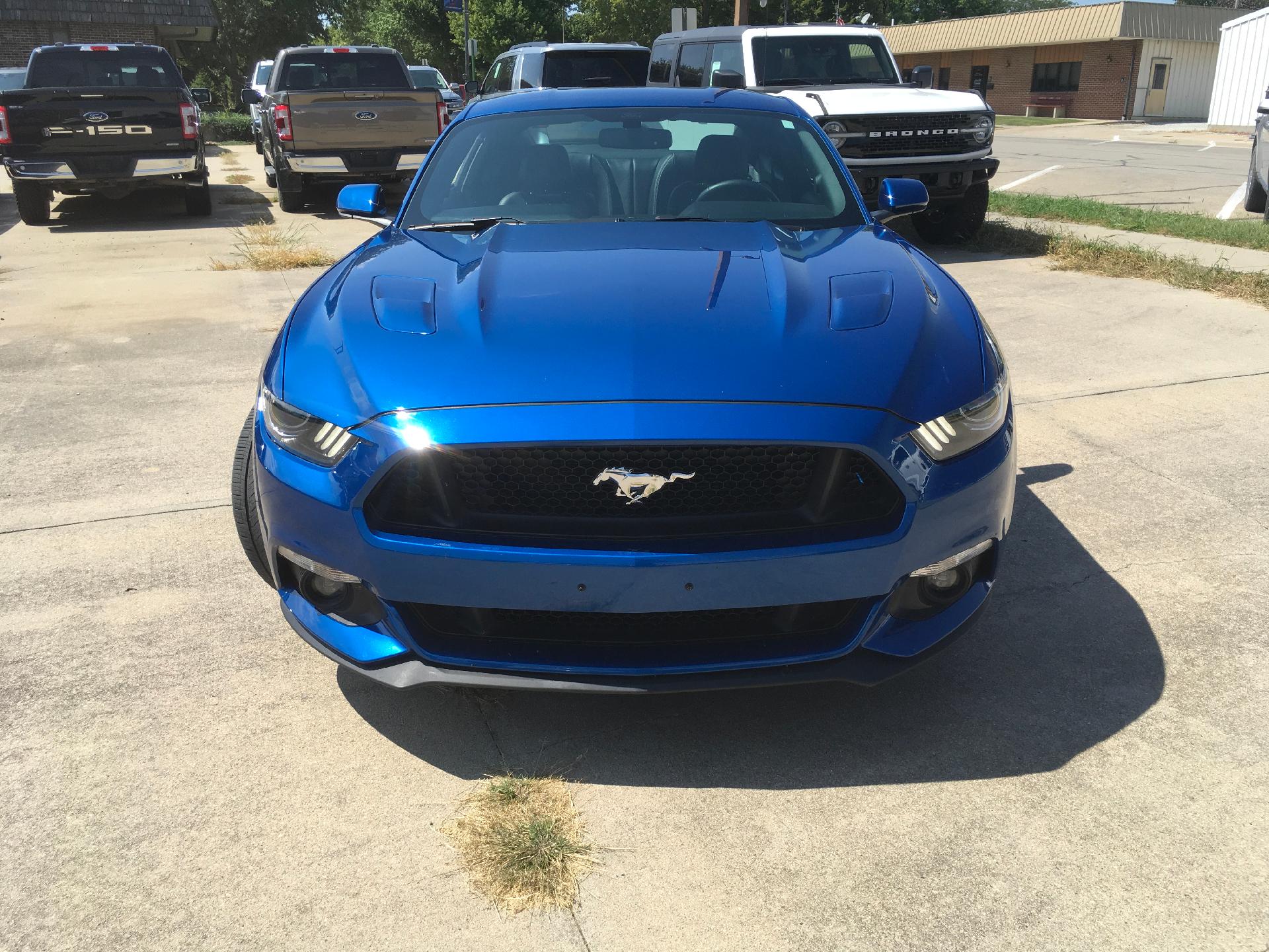 Used 2017 Ford Mustang GT Premium with VIN 1FA6P8CF1H5203424 for sale in Kansas City