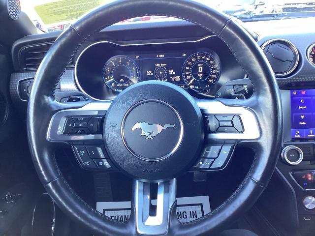 2022 Ford Mustang Vehicle Photo in Gardner, MA 01440