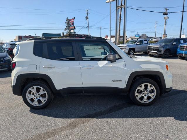 2019 Jeep Renegade Vehicle Photo in HARRISBURG, PA 17111-1033