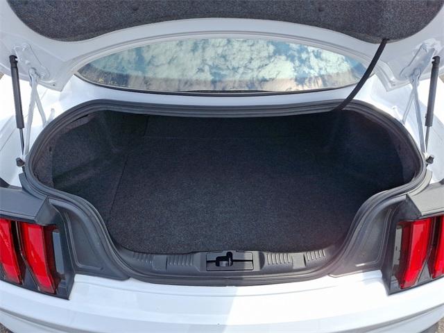 2020 Ford Mustang Vehicle Photo in BERLIN, MD 21811-1121