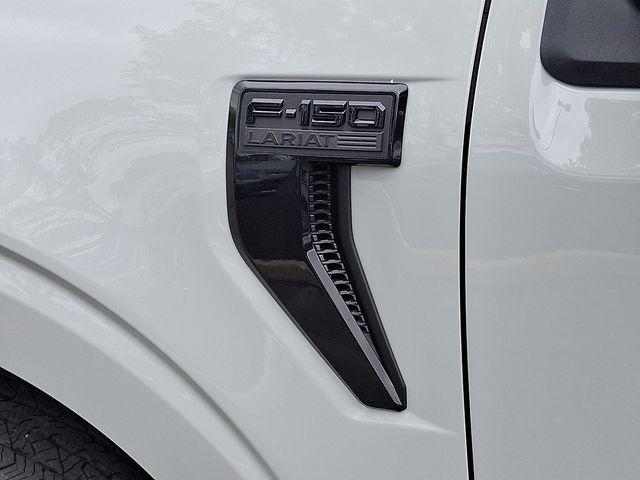 2024 Ford F-150 Vehicle Photo in DANBURY, CT 06810-5034