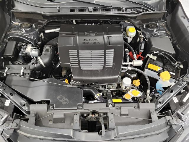 2024 Subaru Forester Vehicle Photo in Green Bay, WI 54304