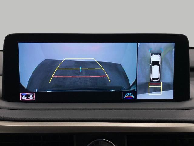 2022 Lexus RX 350 Vehicle Photo in Appleton, WI 54913