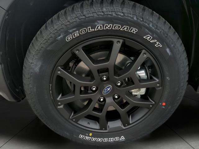 2025 Subaru Crosstrek Vehicle Photo in Green Bay, WI 54304
