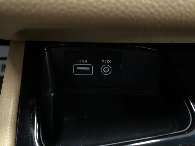2018 Kia Sedona Vehicle Photo in Appleton, WI 54913