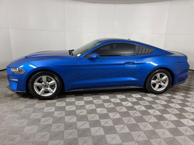 2019 Ford Mustang Vehicle Photo in PHOENIX, AZ 85014-3381
