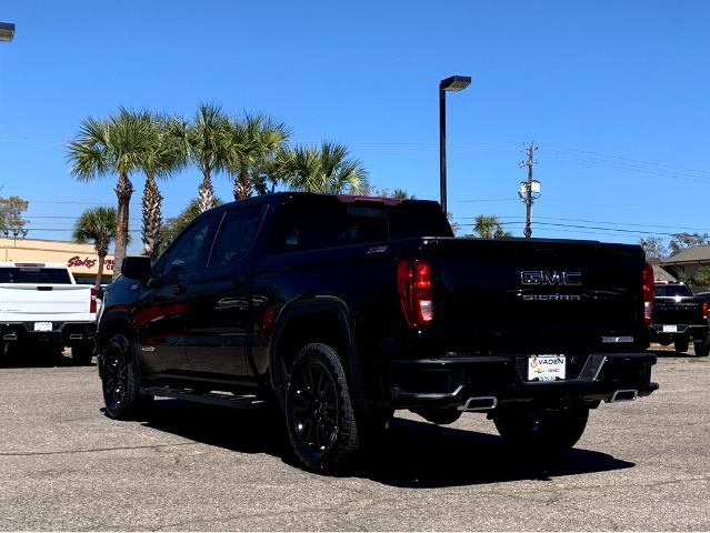 2025 GMC Sierra 1500 Vehicle Photo in BEAUFORT, SC 29906-4218