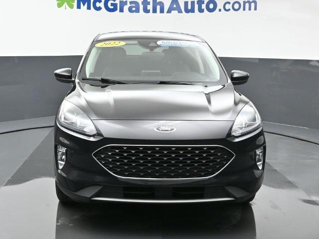 2022 Ford Escape Vehicle Photo in Cedar Rapids, IA 52402