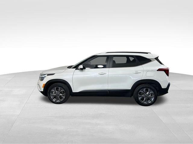 2024 Kia Seltos Vehicle Photo in MEDINA, OH 44256-9631