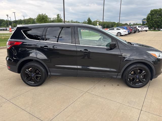 2015 Ford Escape Vehicle Photo in Peoria, IL 61615