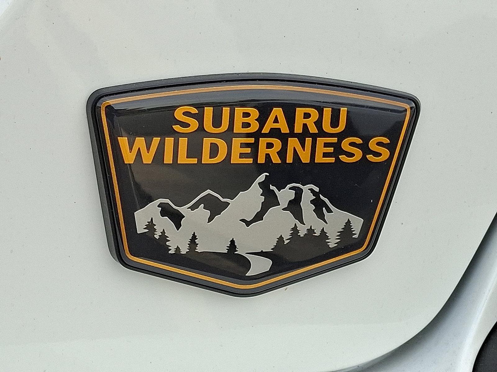 2025 Subaru Crosstrek Vehicle Photo in Easton, PA 18045