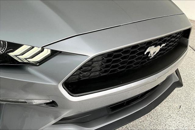 2023 Ford Mustang Vehicle Photo in Grapevine, TX 76051