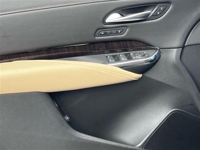 2025 Cadillac XT4 Vehicle Photo in Tampa, FL 33612