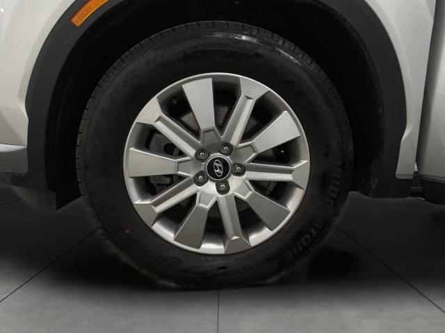 2024 Hyundai PALISADE Vehicle Photo in Appleton, WI 54913