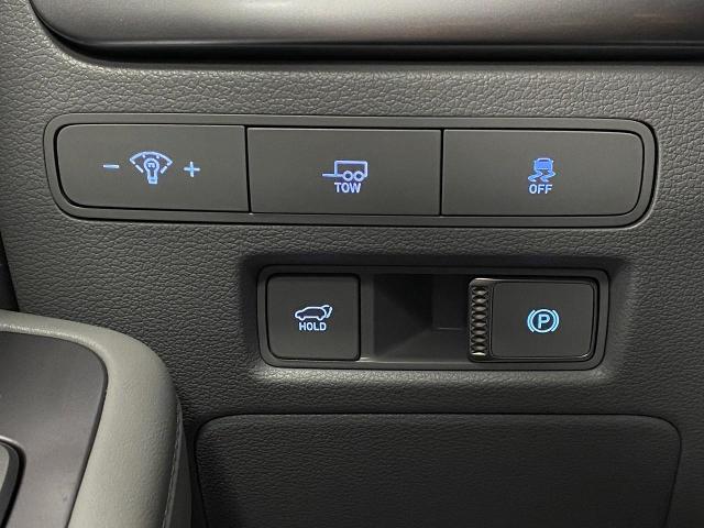 2024 Hyundai PALISADE Vehicle Photo in Appleton, WI 54913