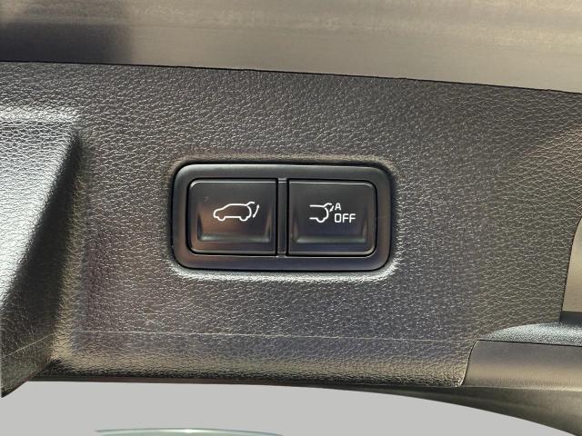 2023 Kia Telluride Vehicle Photo in Appleton, WI 54914
