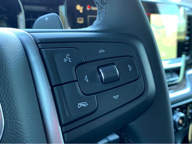 2025 GMC Sierra 1500 Vehicle Photo in BEAUFORT, SC 29906-4218