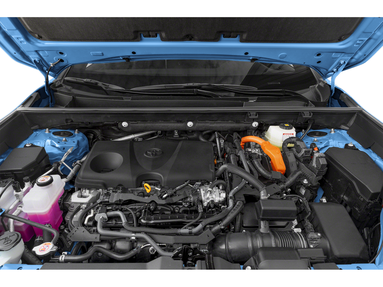 2024 Toyota RAV4 Vehicle Photo in San Antonio, TX 78230