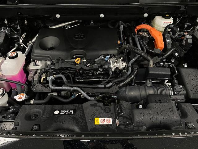 2024 Toyota RAV4 Vehicle Photo in Appleton, WI 54913