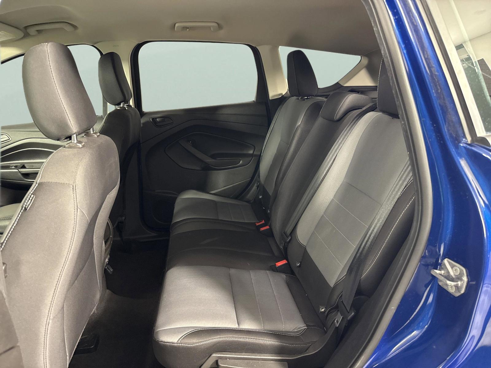 2019 Ford Escape Vehicle Photo in Georgetown, TX 78626