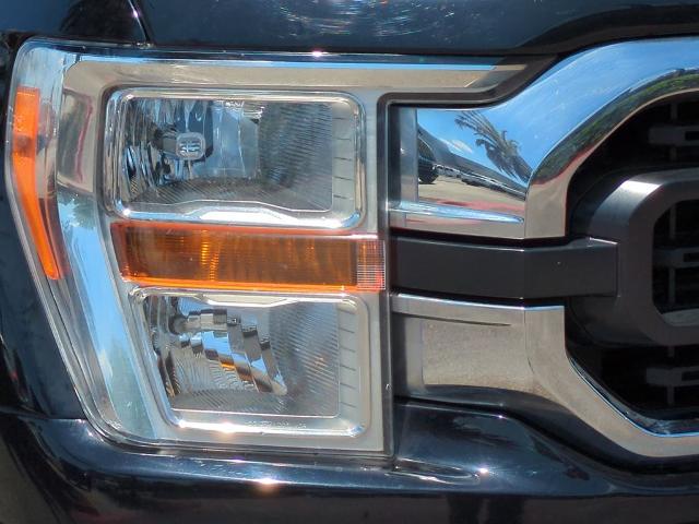 2021 Ford F-150 Vehicle Photo in Brunswick, GA 31525
