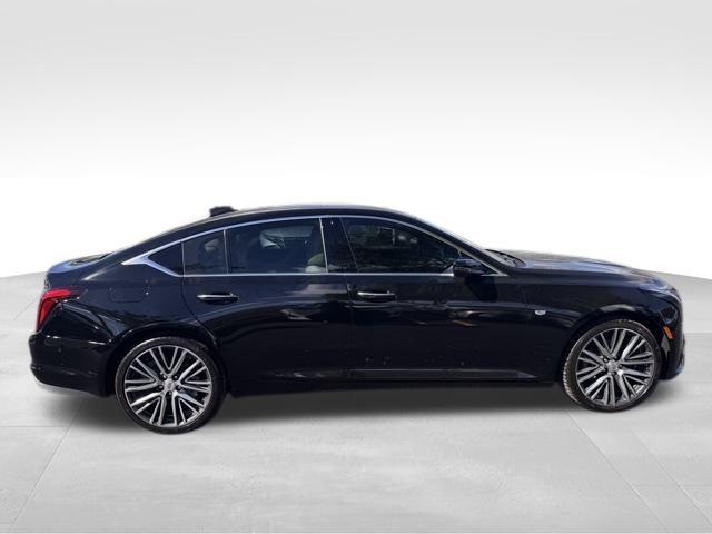 2025 Cadillac CT5 Vehicle Photo in DELRAY BEACH, FL 33483-3294