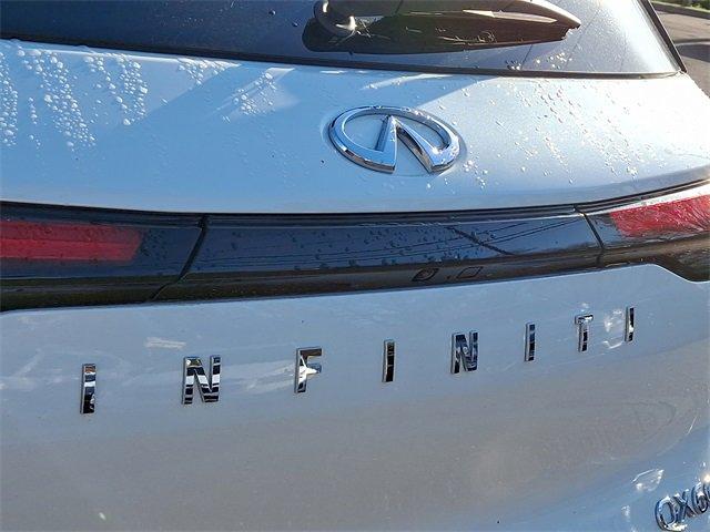 2024 INFINITI QX60 Vehicle Photo in Willow Grove, PA 19090