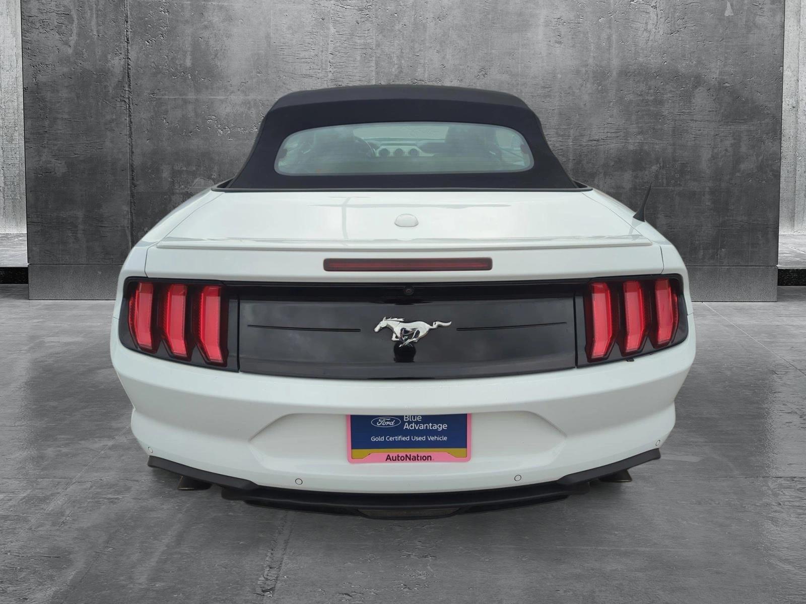2022 Ford Mustang Vehicle Photo in Memphis, TN 38133