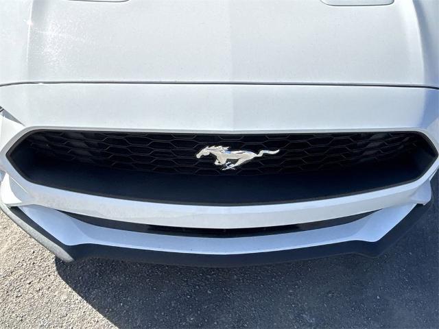 2022 Ford Mustang Vehicle Photo in ALBERTVILLE, AL 35950-0246