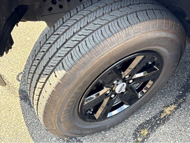 2021 Ford F-150 Vehicle Photo in BEAUFORT, SC 29906-4218