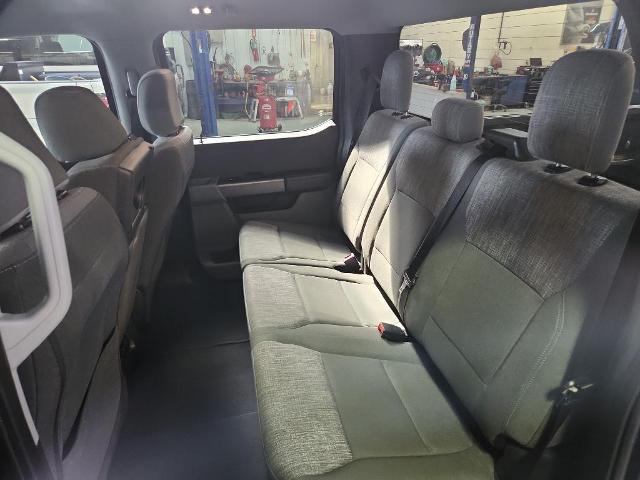 2023 Ford F-150 Vehicle Photo in HAYS, KS 67601-1994