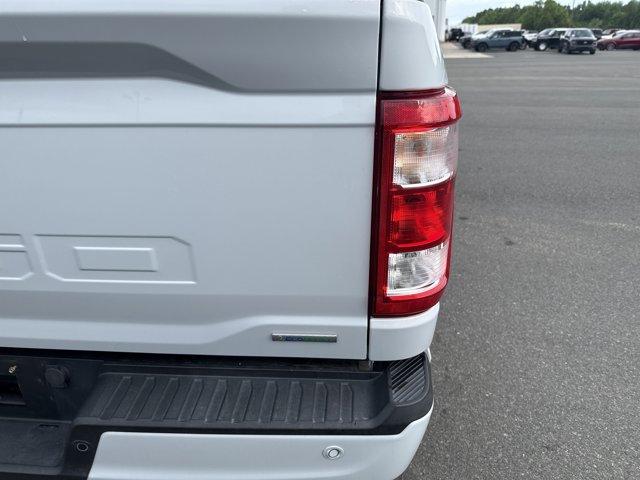 2021 Ford F-150 Vehicle Photo in Charlotte, NC 28212
