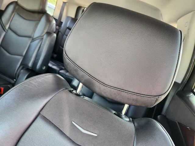 2019 Cadillac Escalade Vehicle Photo in HOUSTON, TX 77079