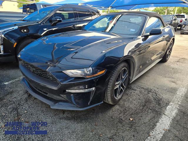 2022 Ford Mustang Vehicle Photo in DENTON, TX 76210-9321