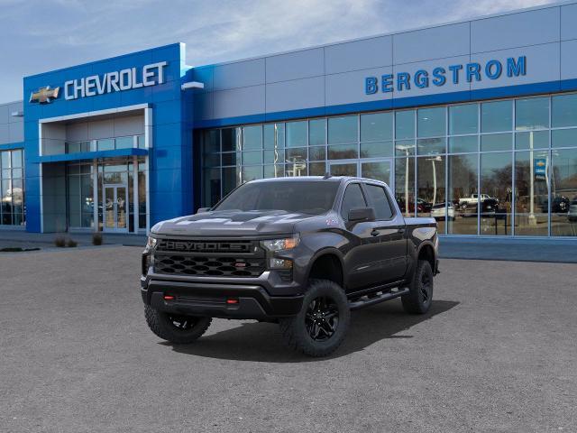 2024 Chevrolet Silverado 1500 Vehicle Photo in APPLETON, WI 54914-4656