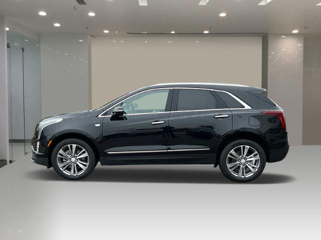 Used 2024 Cadillac XT5 Premium Luxury with VIN 1GYKNDR49RZ738860 for sale in Warren, MI