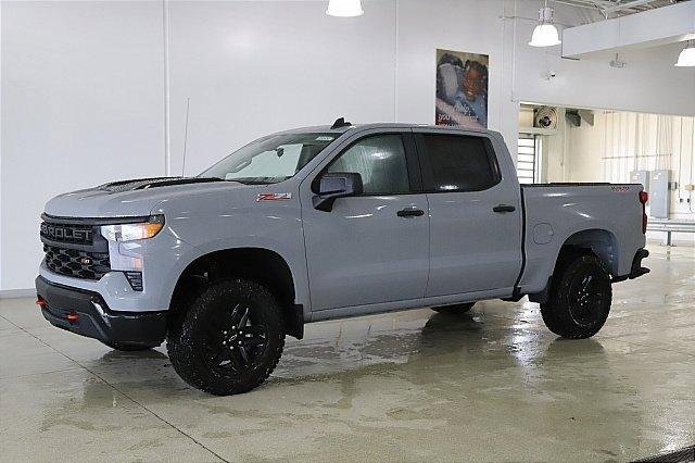 2025 Chevrolet Silverado 1500 Vehicle Photo in MEDINA, OH 44256-9001