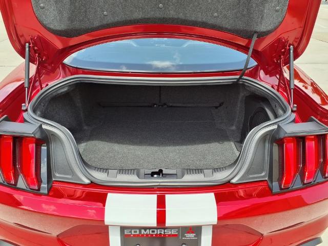 2021 Ford Mustang Vehicle Photo in Tampa, FL 33612