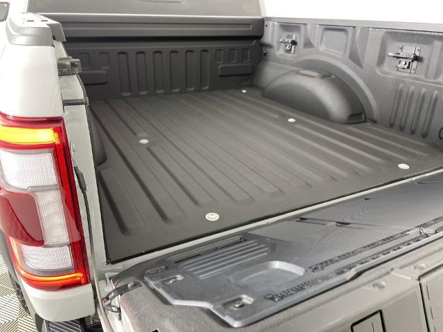 2023 Ford F-150 Vehicle Photo in GILBERT, AZ 85297-0402