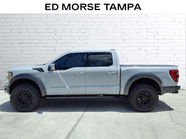 2023 Ford F-150 Vehicle Photo in Tampa, FL 33612