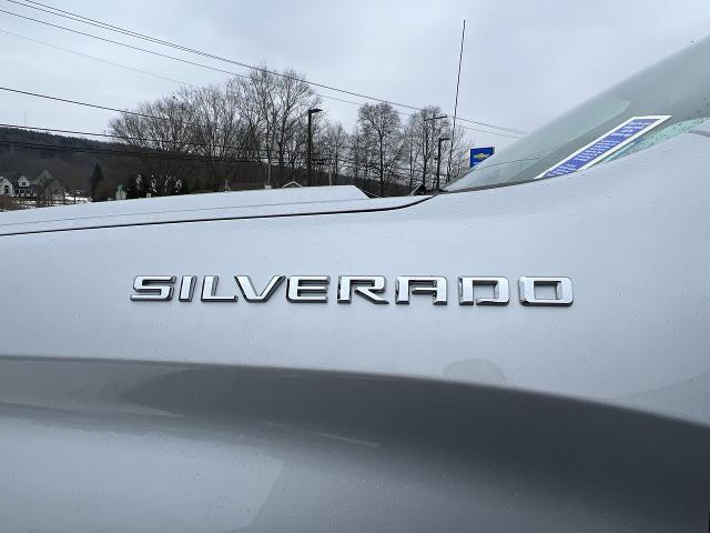 2022 Chevrolet Silverado 1500 LTD Vehicle Photo in BOSTON, NY 14025-9684