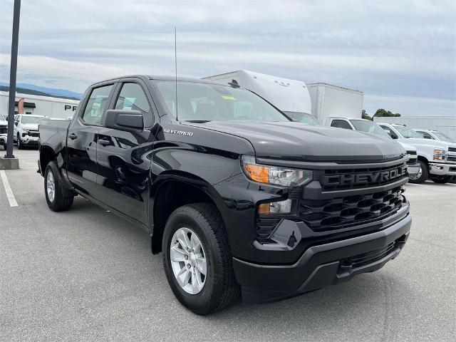 2024 Chevrolet Silverado 1500 Vehicle Photo in ALCOA, TN 37701-3235