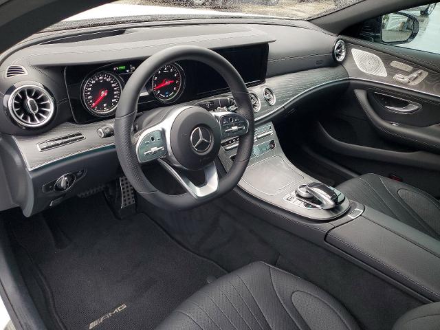 2019 Mercedes-Benz CLS Vehicle Photo in POMPANO BEACH, FL 33064-7091